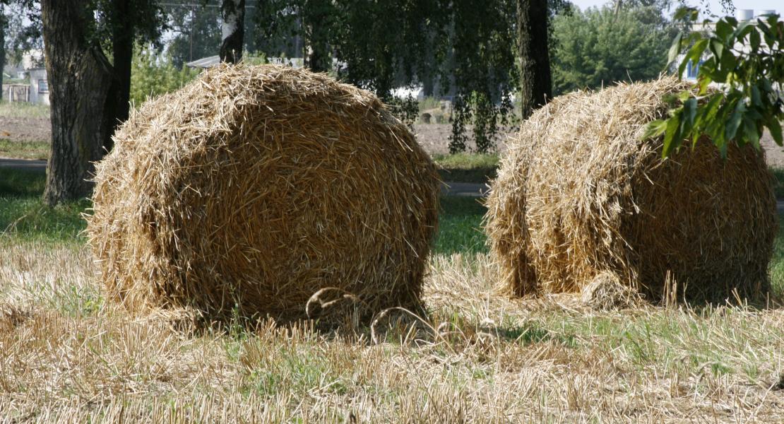 Улучшение местных стратегий устойчивого развития и реализации соответствующих мероприятий в трех сельских сообществах в Беларуси