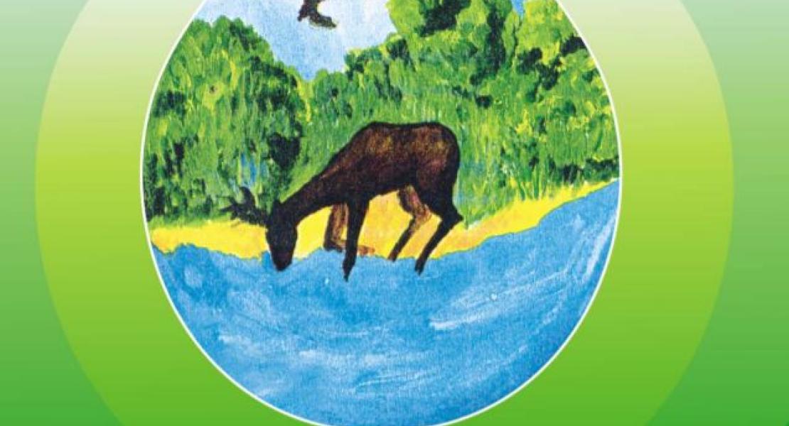 Вода и здоровье: как провести исследование берега реки