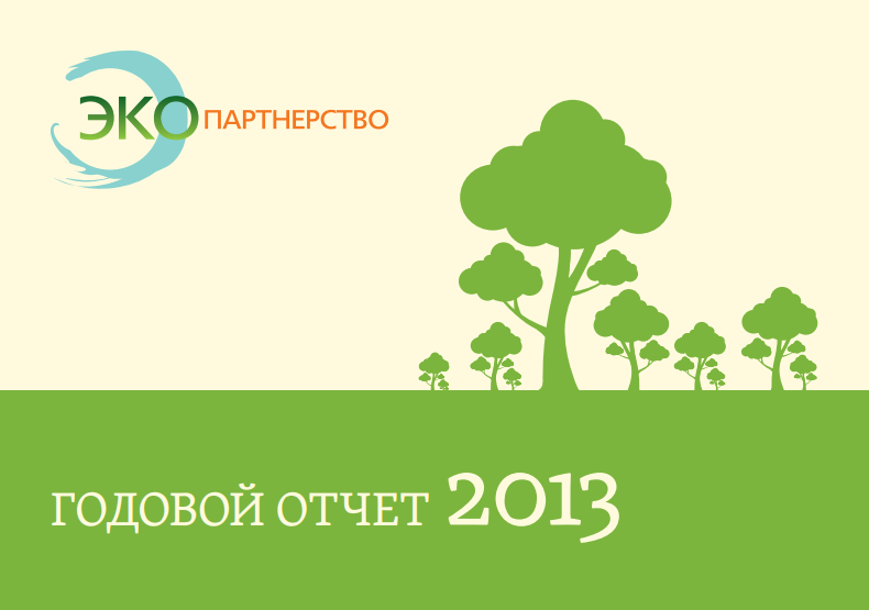 Годовой отчёт организации (2013)