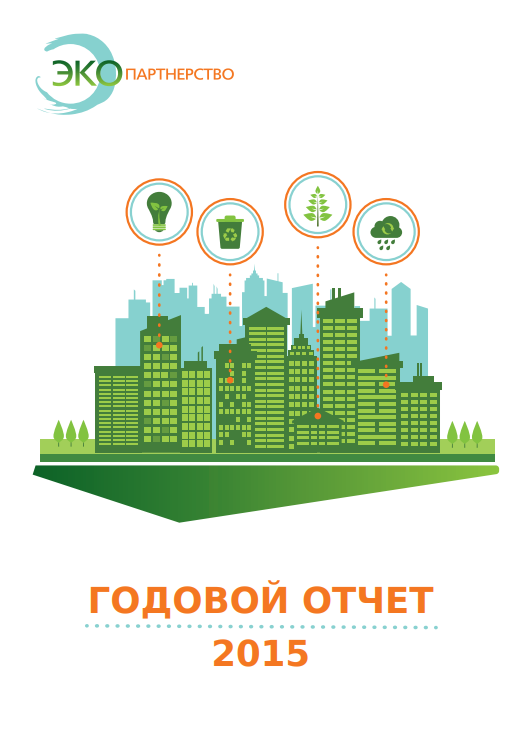 Годовой отчёт организации (2015)