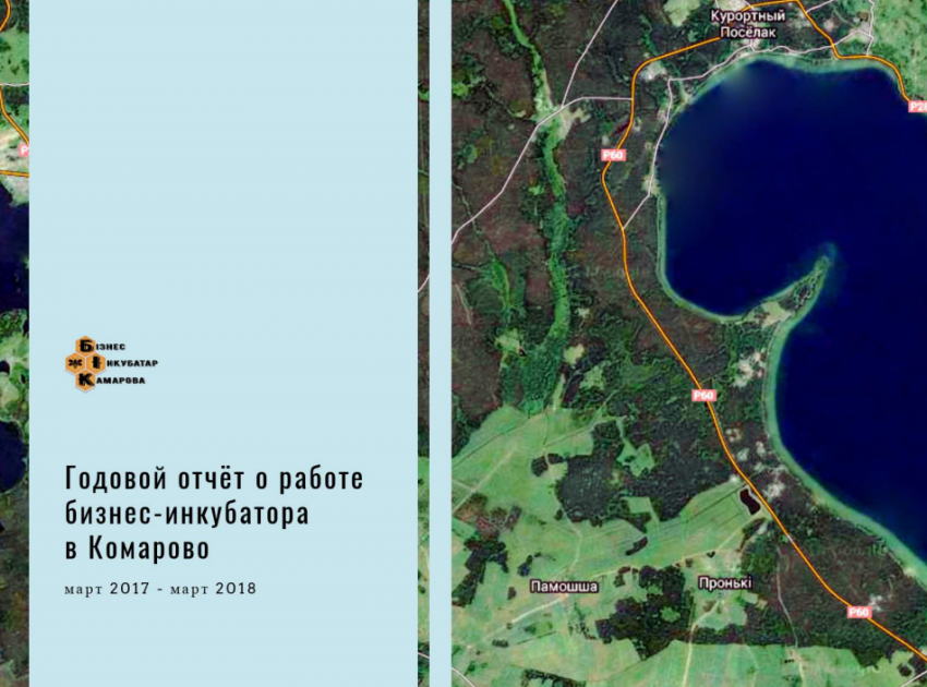 Отчёт о работе бизнес-инкубатора в Комарово за 2018 год