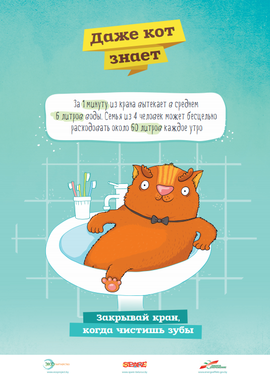 Даже кот знает