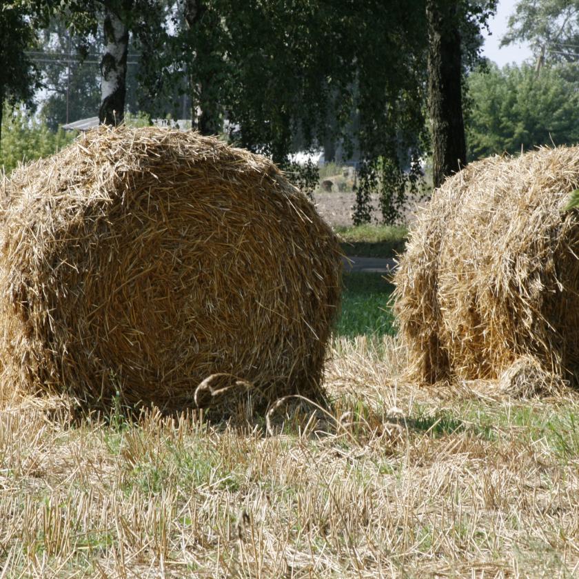 Улучшение местных стратегий устойчивого развития и реализации соответствующих мероприятий в трех сельских сообществах в Беларуси