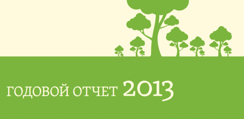 Годовой отчёт организации (2013)