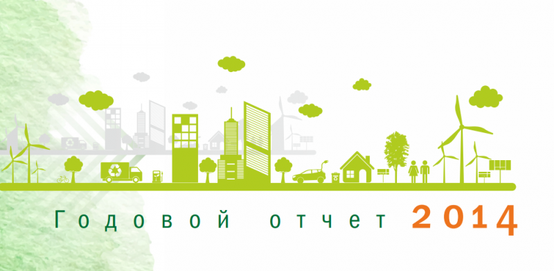 Годовой отчёт организации (2014)