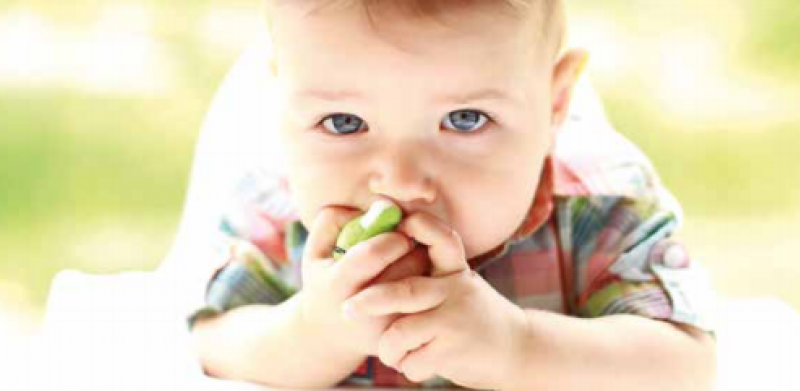 ХВРЭС - действия, необходимые сейчас!